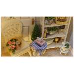 Miniature Room Scenes