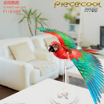 Scarlet Macaw 金刚鹦鹉
