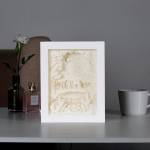 Shadow Box