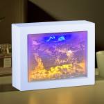 Shadow Box