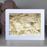 Shadow Box