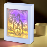 Shadow Box